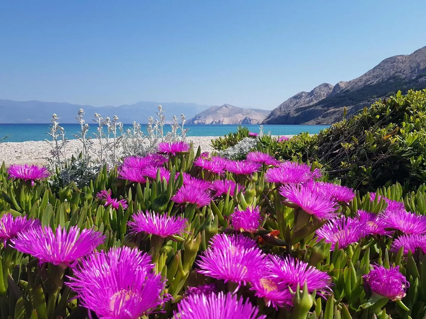 Guest house Apartments Kosec Beach Baska